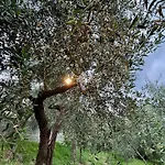 아파트 Charming Tuscany Corsanico-Bargecchia