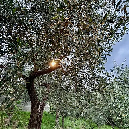 Appartamento Charming Tuscany Corsanico-Bargecchia